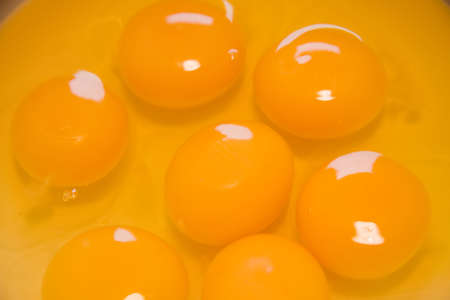 Seven fresh chicken yolks