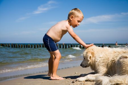 Small boy plays with a dog on a beachの写真素材