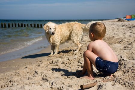 Small boy playing with a dog on a beach in summer dayの写真素材