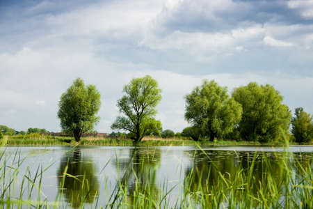 Green trees over lake with dramatic blue sky