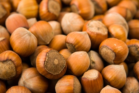 Lots of hazelnuts - natural texture background の写真素材