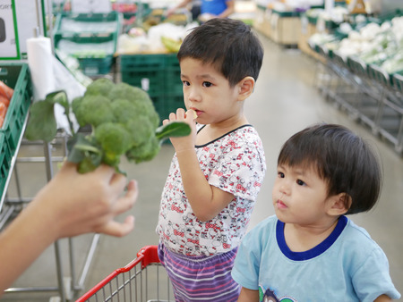 Little Asian babies standing in a shopping cart, looking at green fresh broccoli in their mother's hand,and listening to an explanation - shopping for vegetables with babiesの写真素材