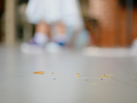 Selective focus of ants and bread crumbs on the house floor with a defocus little baby standing in the backgroundの写真素材
