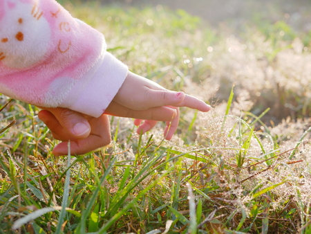 Little baby's hand with the support from the mother's, for the first time, reaching out to touch dew drops on grasses in morning sunlight - mother supports and helps her child to have courage to explore new things in lifeの写真素材