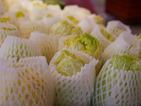 Selective focus of fresh cabaged covered with foam mesh wrap for sale in a supermarket - buying vegetables / healthy choiceの写真素材