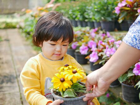 Happy little Asian baby girl receiving / taking a pot of refreshing yellow flowers from her mother - engaging with nature provides positive impact on children's health and developmentの写真素材