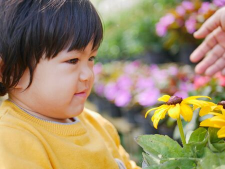 Close up of a happy little Asian baby girl receiving / taking a pot of refreshing yellow flowers from her mother - engaging with nature provides positive impact on children's health and developmentの写真素材