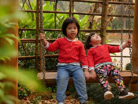 Little Asian baby girls, sisters, enjoy being in a swing together in a gardenの写真素材