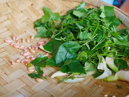 Long bean seeds, ivy gourd leaves, and Cork Wood tree flowers are being prepared for cooking a local recipe, Geng Care, in the rural area in the North of Thailandの写真素材