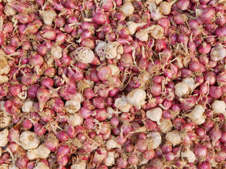 Thai shallots and garlics in the mix, full screenの写真素材