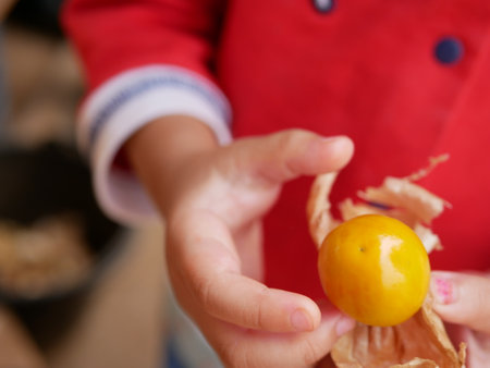 Selective focus of juicy ripe Cape gooseberry fruits, Physalis peruviana, Goldenberry, Poha, in a little baby's hand - children eating fruitsの写真素材