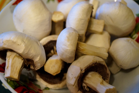 mushrooms on the plateの写真素材