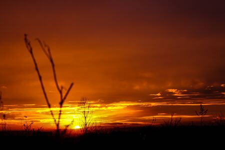 a beautiful sunset in city Parkの写真素材