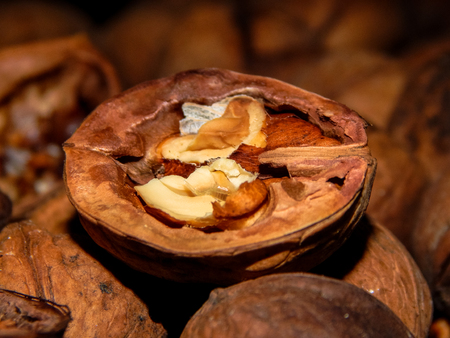 background Wallpaper half ripe walnut