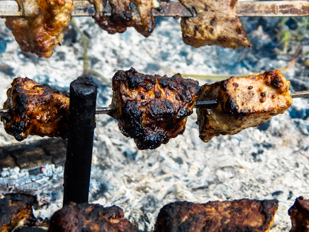 a delicious piece meat with a crust on fire