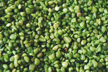 green small stones beautiful unique background natural material scenery macro horizontal image abstractionの写真素材
