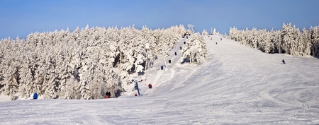 Ski slope with a lift in a snowy forest. Winter landscape. XXL panoramaの写真素材