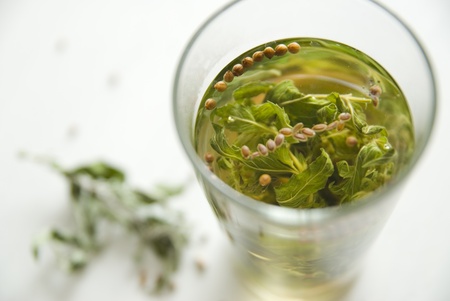 Mint tea in a glass shot at short range from above.の写真素材