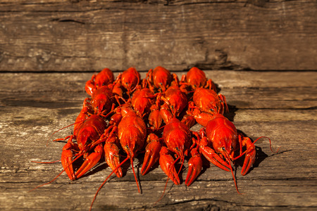 Cancers to beer, dill, boiled crawfish, beer snacks, pub, texture, crayfish, sea crayfishの写真素材