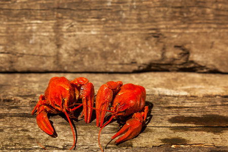 Cancers to beer, dill, boiled crawfish, beer snacks, pub, texture, crayfish, sea crayfishの写真素材