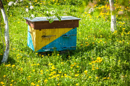 beekeeping