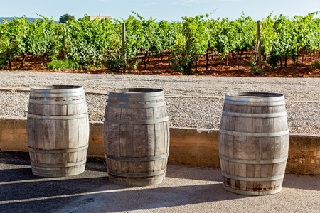 Three pipes for wine fermentation are standing on the background of vineyard,Pipes for wine...