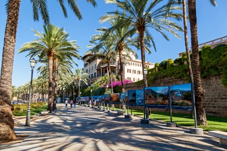Spain 23 June Palma de Mallorca street. Palma de Mallorca street on a sunny day on which walk about slowly vacationers. On both sides of the street are growing huge palms, and on the right side can be seen colorful photos of sights of Mallorca. 23 June Spのeditorial素材