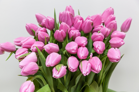 Pink tulips. Beautiful bouquet of pink tulips with green leaves on the white background.の写真素材