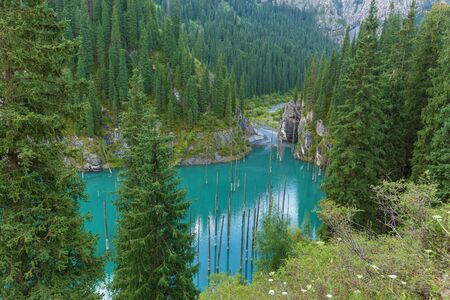 Mountain river flowing into the Kaindy Lake in Tien Shan mountain system, the natural beauty of Kazakhstanの写真素材