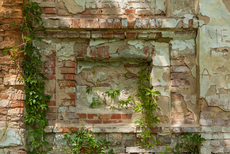 an old brick wall is ivied, Old brick wall as background