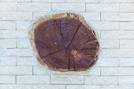white fence from a stone with bottles for wine by a barrel and cut of tree