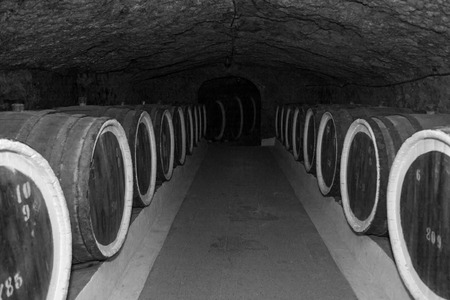 An old wine cellar with oak barrels,barrels for wine in old cellars