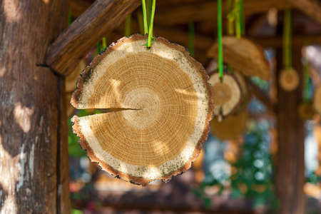 Smooth fresh cut tree wood with rings sawed in halfの写真素材