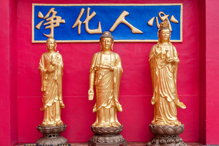 Golden Buddha statues along the stairs leading to the Ten Thousand Buddhas Monastery and landscape with green trees in the background in Hong Kong. Hong Kong is popular tourist destination of Asia.の写真素材
