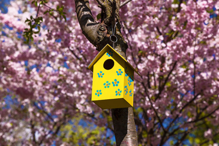 wooden birdhouse on a tree in spring. yellow birdhouse on tree branch with spring flowersの写真素材