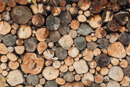 A stack of spilled log in a section of birch, ash, oak, background of round spilled woodの写真素材