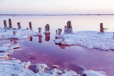 Rose salt lake Sivash production and salt and therapeutic mud.Ukraine Kherson regionの写真素材