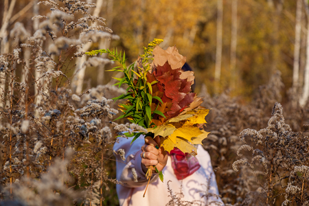 A girl holds a colorful bouquet of autumn leaves. Close-up.の写真素材
