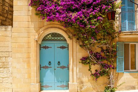Weaving plants with purple flowers on the facade of a building with a blue wooden door and windows of Mdina, Malta.Sights of the island of Maltaの写真素材