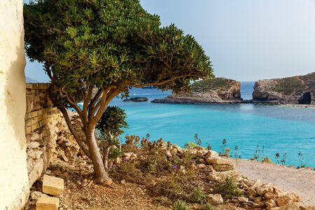 A beautiful blue lagoon with turquoise clear water and a high rocky coast of yellow limestone on a...
