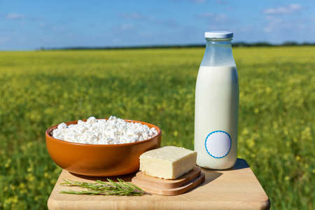 Bottle of milk, cottage cheese and butter on a background of yellow meadow and blue skyの写真素材