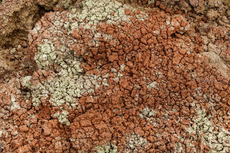 Texture of dry multicolored earth with small cracks. The effects of heat and drought, the effects of global warming, desert landscape.の写真素材