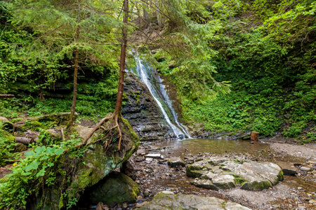 Forest waterfalls from mountain riversの写真素材