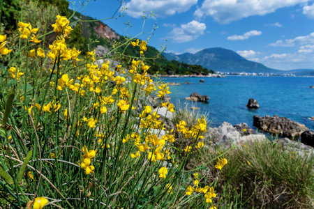 Beautiful sea landscapes, mountains and nature in Montenegroの写真素材