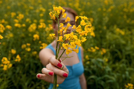 A girl in a blue denim dress holds a yellow rapeseed flower in the fieldの写真素材