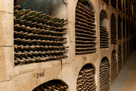 Old bottles of wine stacked in rows in the cellars of a winery