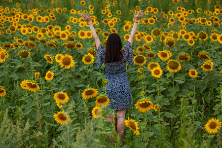 Girl with black hair and a black dress in a field with sunflowersの写真素材