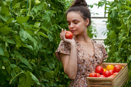 Young woman in floral dress holding a wooden crate full of tomatoes, gently smelling a ripe tomato, surrounded by lush green plants, evoking freshness and organic farmingの写真素材