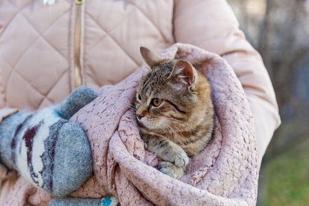 Girl on the street holds a cat wrapped in a pink plaidの写真素材