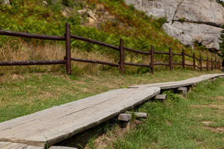 Long wooden footpath elevated above grassy terrain, bordered by a rustic wooden fence and surrounded by ferns and rocky cliffs under natural daylightの写真素材